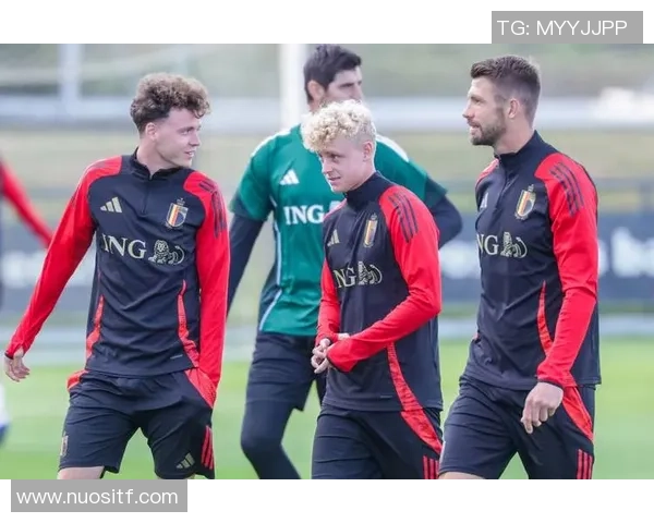 比利时足球队的明星球员有哪些 他们在国际赛场上的表现如何